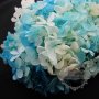 3gram real dyed blue white dry preserved Hydrangea macrophylla flower blossom DIY glass dome filling supplies 1503033