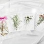 Assortment 5 Packs Real Dry Flowers Craft Supplies for DIY Resin Cabohon Bookmark 1503201