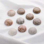 5Pcs Nature Round Coral Fossil Cabochon,Yellow Stone Semi Precious Gemstone DIY Jewelry Supplies 4110193