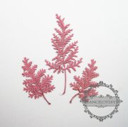 1 small packs real dry pressed flower pink leaf craft for DIY glass dome resin filling 1503097