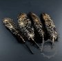 10pcs 17-25mm black bird feather paint with gold cobwebsDIY jewelry findings supplies 1506003