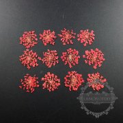 1 small packs red real dry pressed flower craft for DIY glass dome resin filling 1503111
