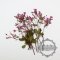 1pack small packs pink real dry pressed flower with branch leaf craft for DIY glass dome resin filling 1503149