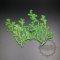 5packs 4-9cm green real dry pressed flower leaf branch craft for DIY glass dome resin filling 10pcs each pack 1503162
