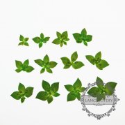 1pack 1-3cm green real dry pressed flower craft for DIY glass dome resin filling 12pcs each pack 1503143