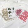 Assortment 5 Packs Real Dry Flowers Craft Supplies for DIY Resin Cabohon Bookmark 1503201