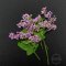 5packs 5-9cm real dry pressed flower craft dyed purple flower with leaf for DIY glass dome resin filling 8pcs/pack 1503187-3