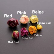 5Pcs 15-20MM Real Pink Preserved Dry Rose Flower with Epoxy Filled DIY Earrings Charm Supplies 1800397