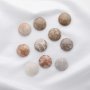 5Pcs Nature Round Coral Fossil Cabochon,Yellow Stone Semi Precious Gemstone DIY Jewelry Supplies 4110193