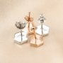 Keepsake Breast Milk Resin 6.5MM Hexagon Earrings Blank Settings Rose Gold Plated Solid 925 Sterling Silver Studs Earrings Supplies 1706081