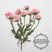 12pcs 15-22mm real dry pressed flower craft dyed pink flower for DIY glass dome resin filling 1503069