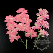 5packs 8-12cm DIY dry pressed pink flower for pendant charm jewelry 6pcs each pack 1503182-4