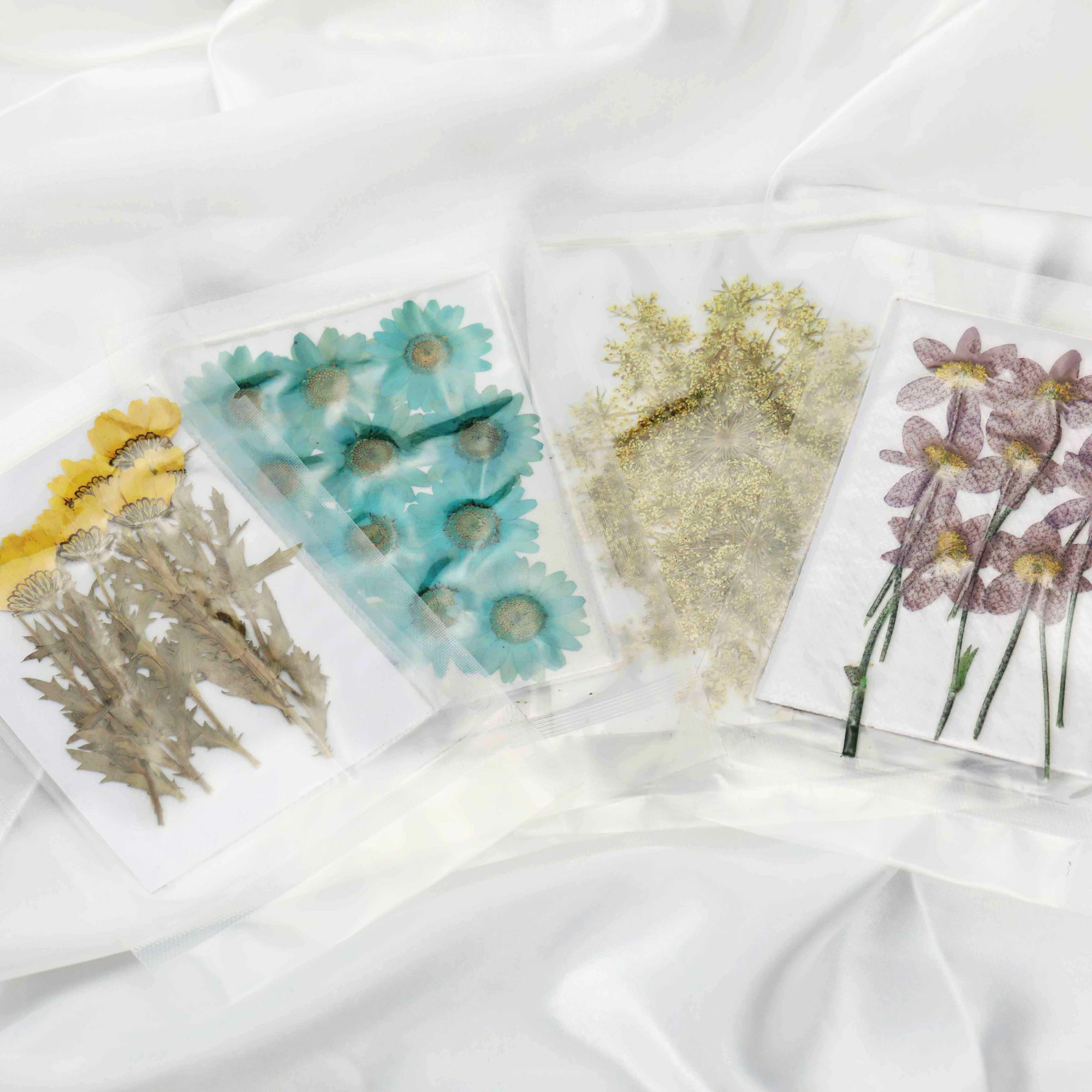 Assortment 5 Packs Real Dry Flowers Craft Supplies for DIY Resin Cabohon Bookmark 1503201 - Click Image to Close