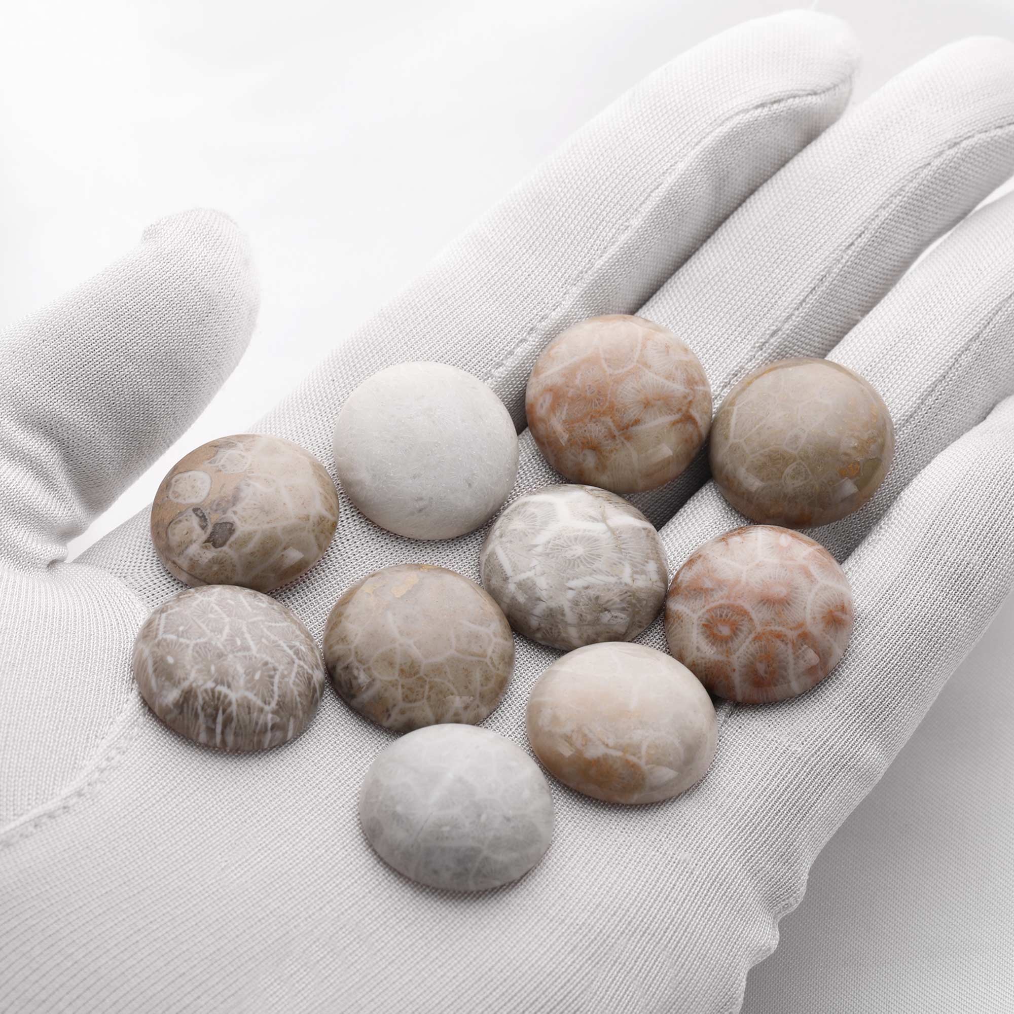 5Pcs Nature Round Coral Fossil Cabochon,Yellow Stone Semi Precious Gemstone DIY Jewelry Supplies 4110193 - Click Image to Close