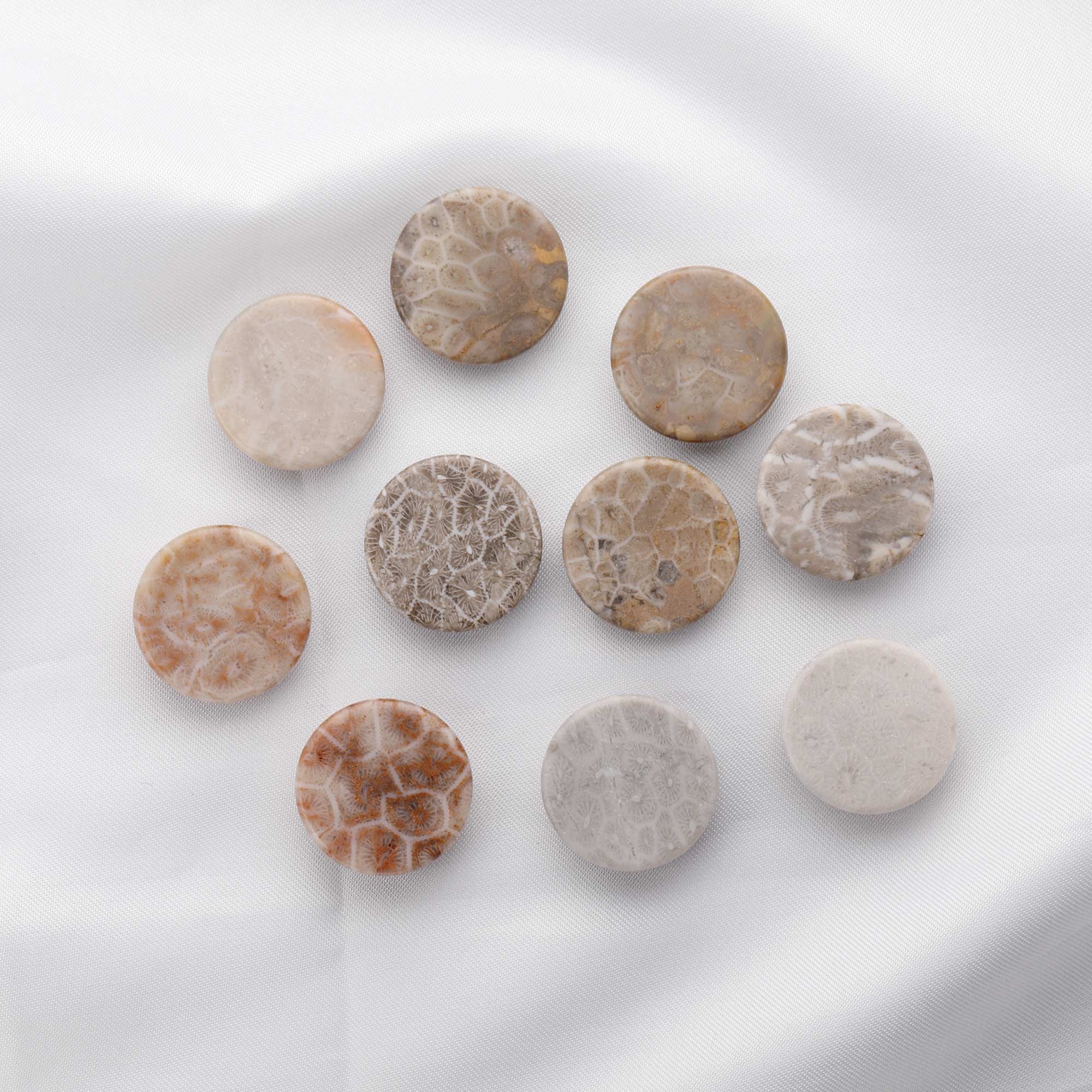 5Pcs Nature Round Coral Fossil Cabochon,Yellow Stone Semi Precious Gemstone DIY Jewelry Supplies 4110193 - Click Image to Close